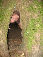 IMG_1584 Paul in a tree